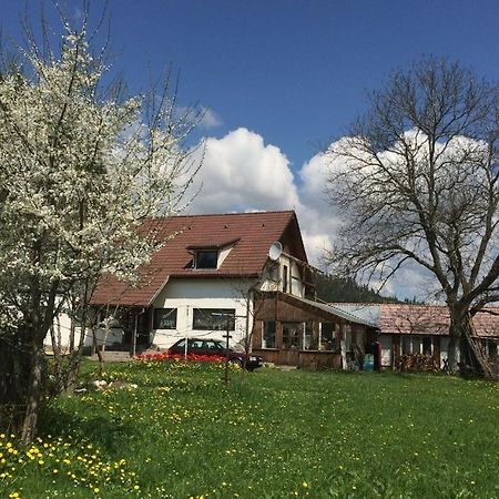 Karacsony Guest House Lunca de Sus Exterior foto